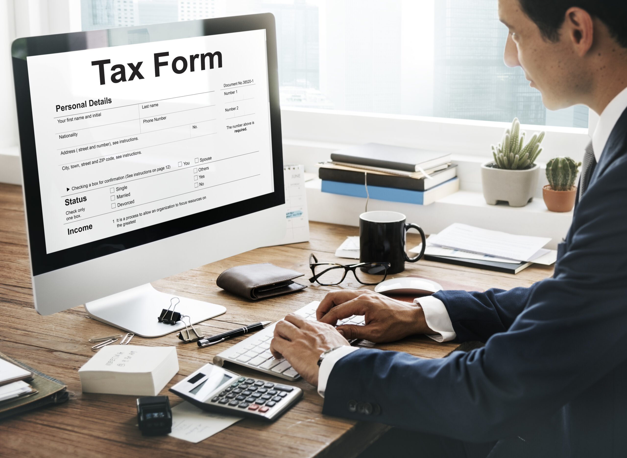 professional tax filing services for US businesses
